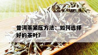 普洱茶紧压方法：如何选择好的茶叶？