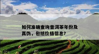 如何准确查询普洱茶年份及真伪，包括价格信息？