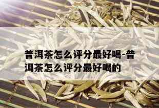 普洱茶怎么评分更好喝-普洱茶怎么评分更好喝的