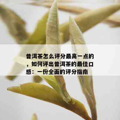 普洱茶怎么评分更高一点的，如何评出普洱茶的更佳口感：一份全面的评分指南