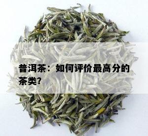 普洱茶：如何评价更高分的茶类？