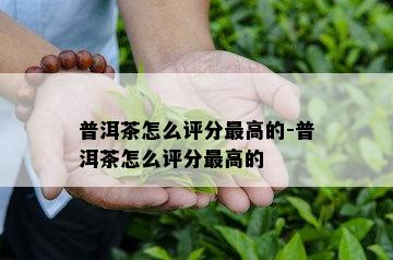 普洱茶怎么评分更高的-普洱茶怎么评分更高的