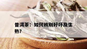 普洱茶：如何辨别好坏及生熟？