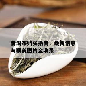 普洱茶购买指南：最新信息与精美图片全收录