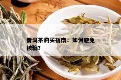 普洱茶购买指南：如何避免被骗？