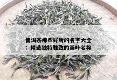 普洱茶那些好听的名字大全：精选独特雅致的茶叶名称