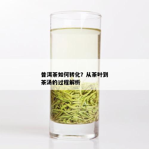 普洱茶如何转化？从茶叶到茶汤的过程解析