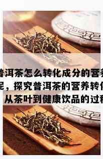 普洱茶怎么转化成分的营养呢，探究普洱茶的营养转化：从茶叶到健康饮品的过程