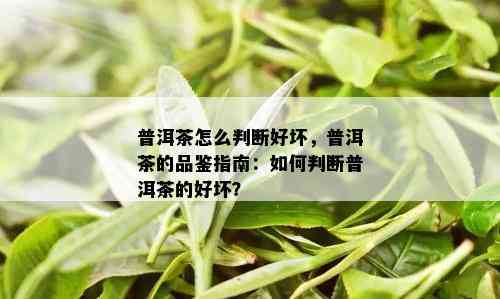 普洱茶怎么判断好坏，普洱茶的品鉴指南：如何判断普洱茶的好坏？