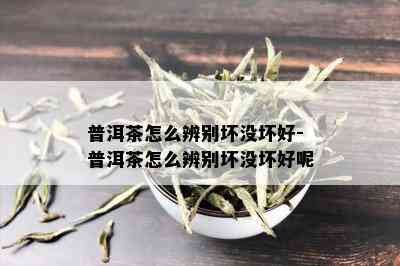 普洱茶怎么辨别坏没坏好-普洱茶怎么辨别坏没坏好呢