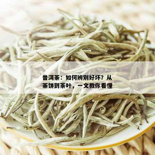 普洱茶：如何辨别好坏？从茶饼到茶叶，一文教你看懂