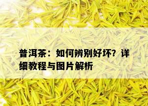 普洱茶：如何辨别好坏？详细教程与图片解析