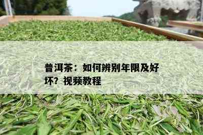 普洱茶：如何辨别年限及好坏？视频教程