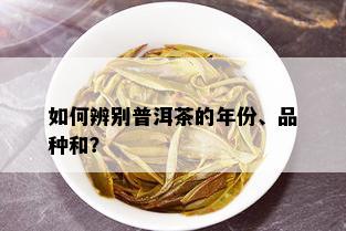 如何辨别普洱茶的年份、品种和？