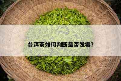 普洱茶如何判断是否发霉？