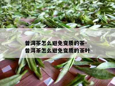 普洱茶怎么避免变质的茶-普洱茶怎么避免变质的茶叶