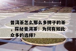 普洱茶怎么那么多牌子的茶，探秘普洱茶：为何有如此众多的选择？