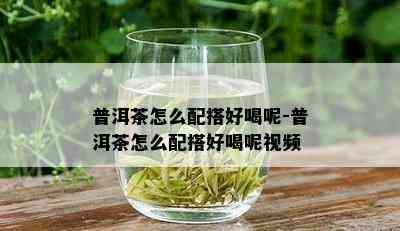 普洱茶怎么配搭好喝呢-普洱茶怎么配搭好喝呢视频