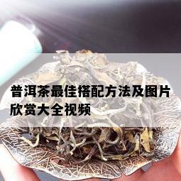 普洱茶更佳搭配方法及图片欣赏大全视频