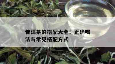 普洱茶的搭配大全：正确喝法与常见搭配方式