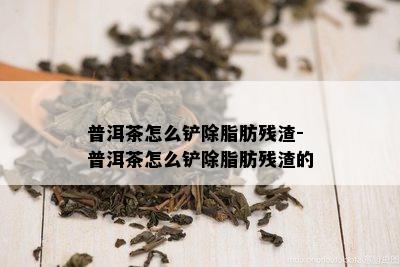 普洱茶怎么铲除脂肪残渣-普洱茶怎么铲除脂肪残渣的