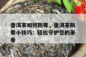 普洱茶如何防霉，普洱茶防霉小技巧：轻松守护您的茶香