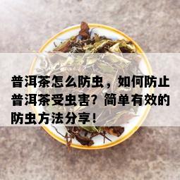 普洱茶怎么防虫，如何防止普洱茶受虫害？简单有效的防虫方法分享！