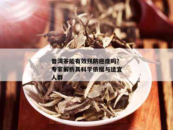 普洱茶能有效预防癌症吗？专家解析其科学依据与适宜人群