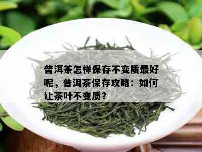 普洱茶怎样保存不变质更好呢，普洱茶保存攻略：如何让茶叶不变质？