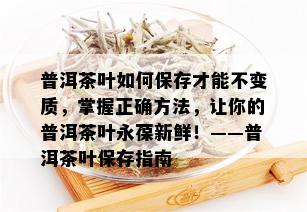 普洱茶叶如何保存才能不变质，掌握正确方法，让你的普洱茶叶永葆新鲜！——普洱茶叶保存指南