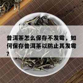 普洱茶怎么保存不发霉，如何保存普洱茶以防止其发霉？