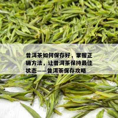 普洱茶如何保存好，掌握正确方法，让普洱茶保持更佳状态——普洱茶保存攻略