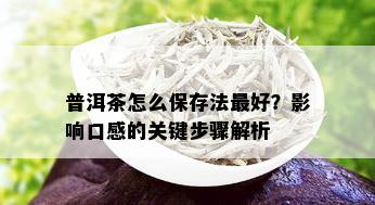 普洱茶怎么保存法更好？影响口感的关键步骤解析