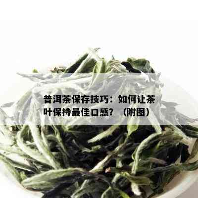 普洱茶保存技巧：如何让茶叶保持更佳口感？（附图）