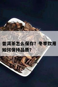 普洱茶怎么保存？冬季饮用如何保持品质？