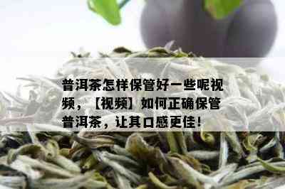 普洱茶怎样保管好一些呢视频，【视频】如何正确保管普洱茶，让其口感更佳！