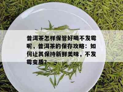 普洱茶怎样保管好喝不发霉呢，普洱茶的保存攻略：如何让其保持新鲜美味，不发霉变质？