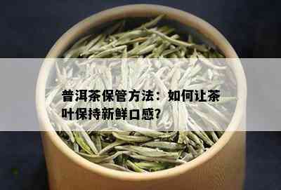 普洱茶保管方法：如何让茶叶保持新鲜口感？