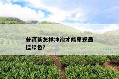 普洱茶怎样冲泡才能呈现更佳绿色？