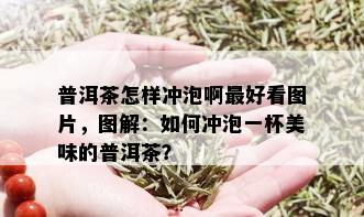 普洱茶怎样冲泡啊更好看图片，图解：如何冲泡一杯美味的普洱茶？