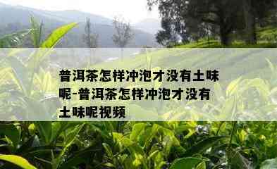 普洱茶怎样冲泡才没有土味呢-普洱茶怎样冲泡才没有土味呢视频