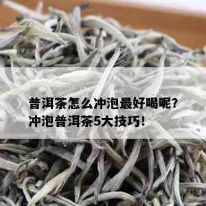 普洱茶怎么冲泡更好喝呢？冲泡普洱茶5大技巧！