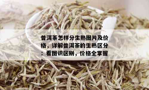 普洱茶怎样分生熟图片及价格，详解普洱茶的生熟区分：看图识区别，价格全掌握！