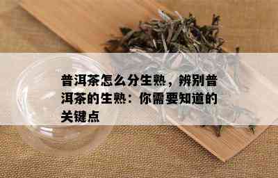 普洱茶怎么分生熟，辨别普洱茶的生熟：你需要知道的关键点