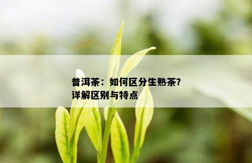 普洱茶：如何区分生熟茶？详解区别与特点