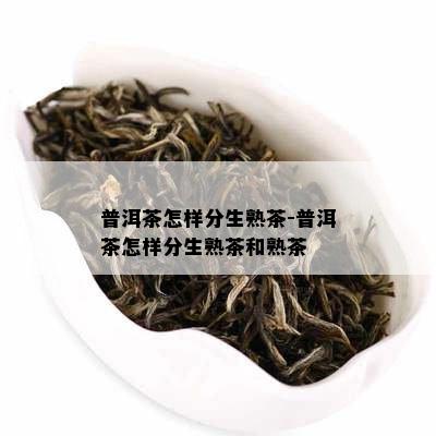 普洱茶怎样分生熟茶-普洱茶怎样分生熟茶和熟茶