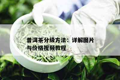 普洱茶分级方法：详解图片与价格视频教程