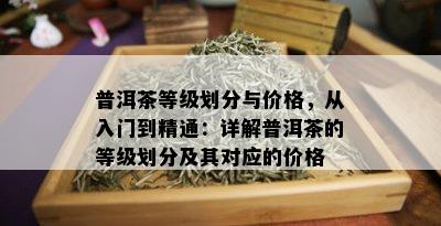 普洱茶等级划分与价格，从入门到精通：详解普洱茶的等级划分及其对应的价格