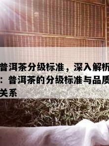 普洱茶分级标准，深入解析：普洱茶的分级标准与品质关系