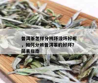 普洱茶怎样分辨坏没坏好呢，如何分辨普洱茶的好坏？简易指南